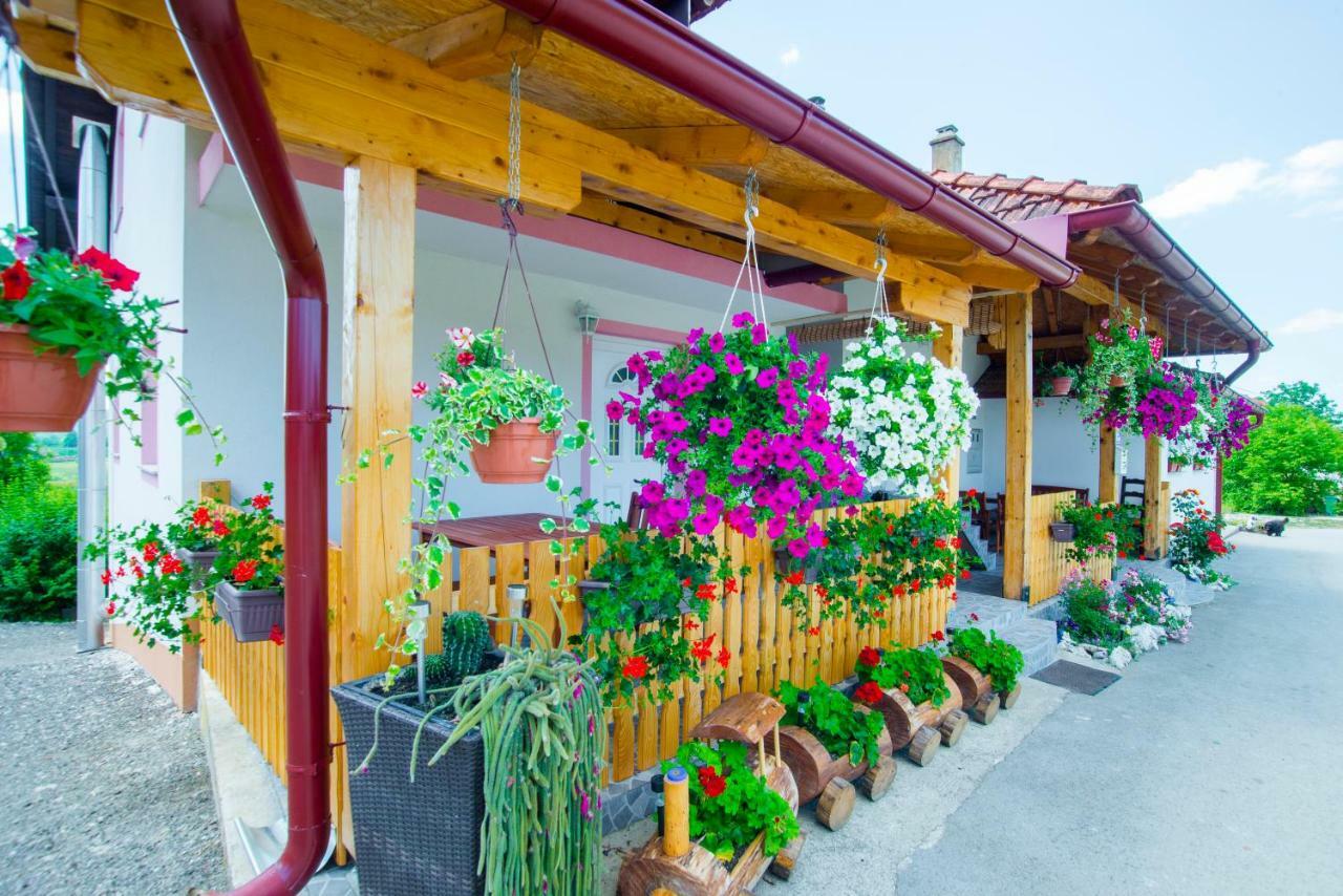 Guesthouse Ella Slunj Buitenkant foto